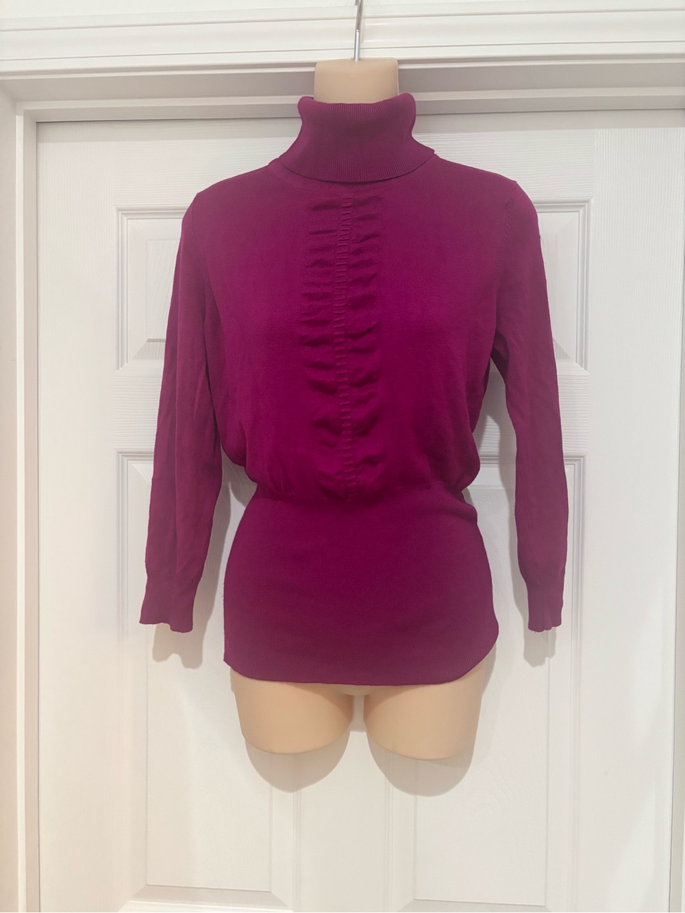 Women's Express Magenta Turtleneck Sweater Top